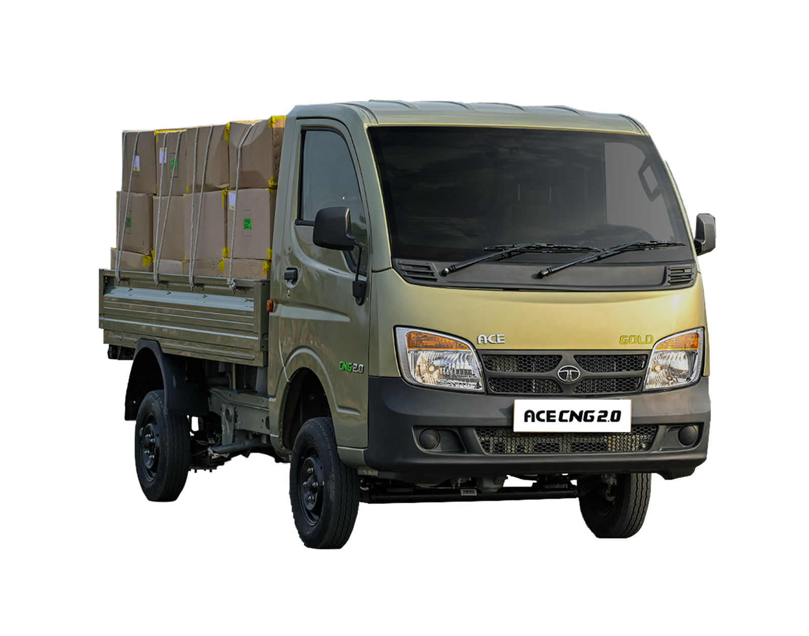 ACE Bio-Fuel - 02_5 (2)