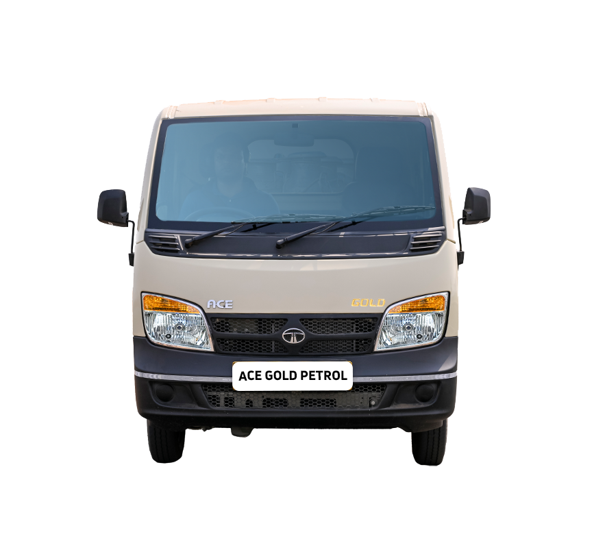 ACE GOLD Petrol - 01_3